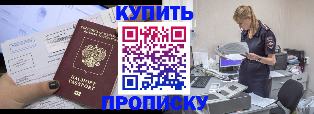 временная регистрация поиск в Железногорске